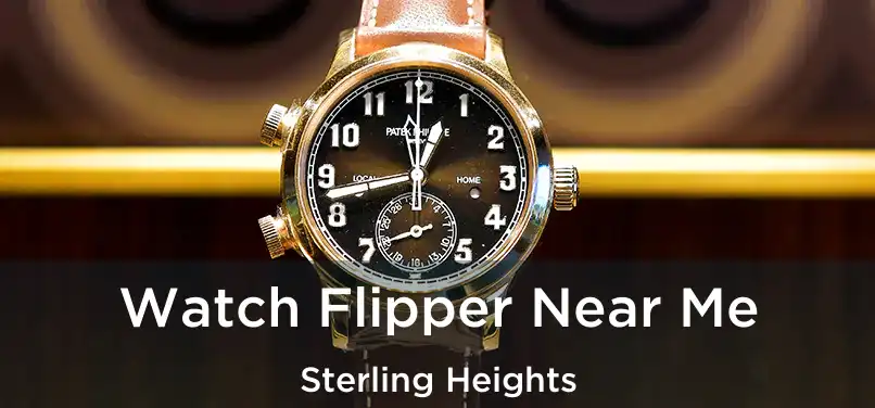 Watch Flipper Near Me Sterling Heights